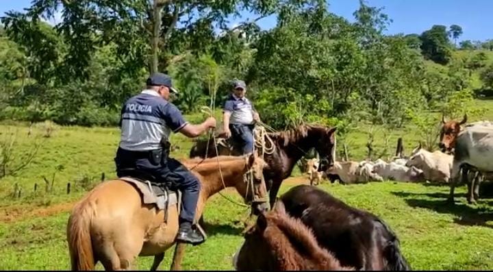 Polic A Intensifica Patrullajes En Sectores Agropecuarios De Col N